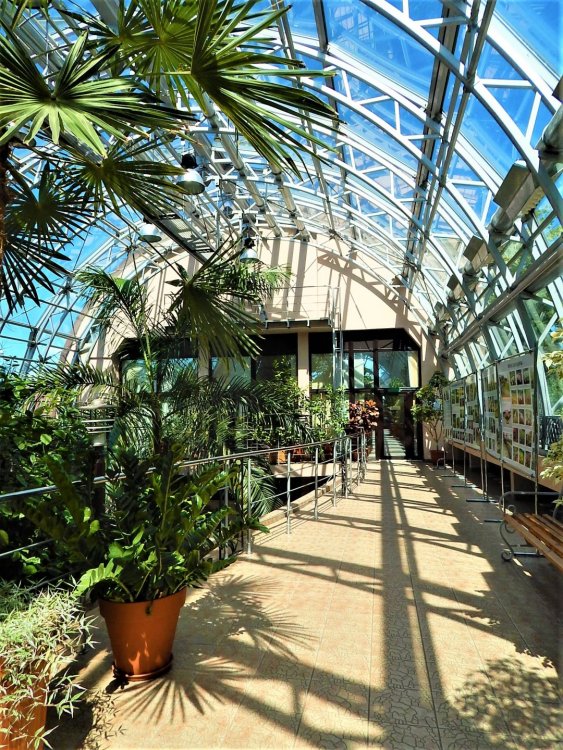 Брест( зимний сад13).jpg