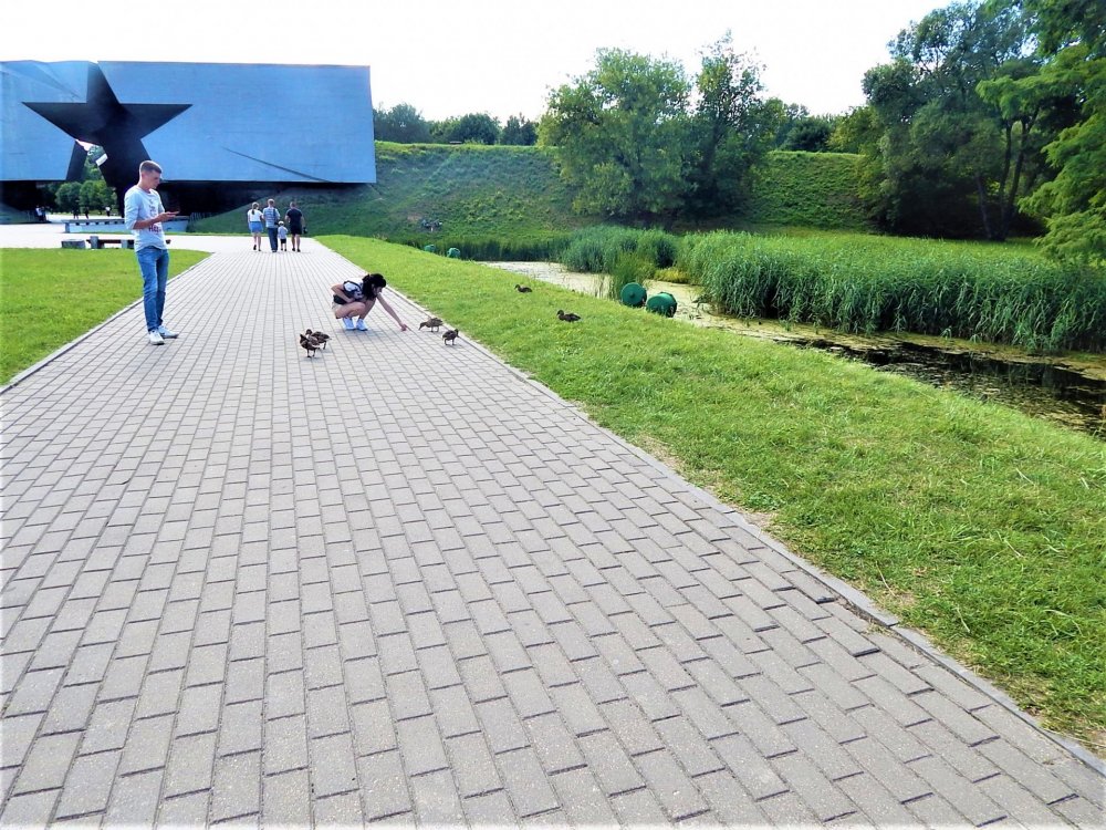 Брест уточки.jpg