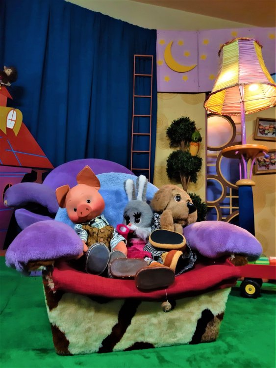 Телецентр снм.jpg