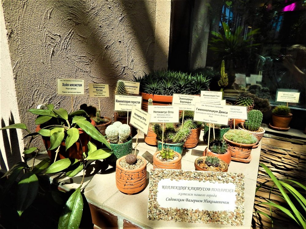 Брест( зимний сад12).jpg