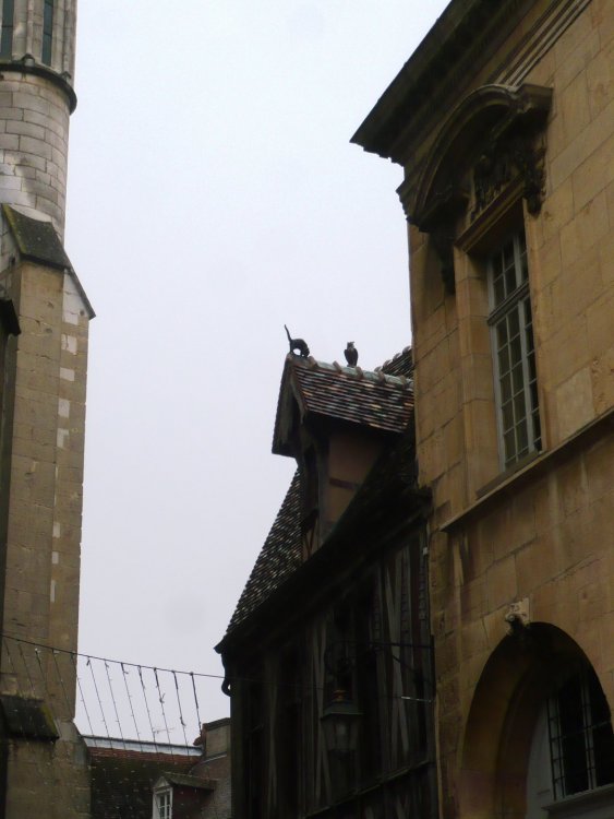 P1100739. Дом купца Гийома Мильера построен еще в 1483 году..JPG