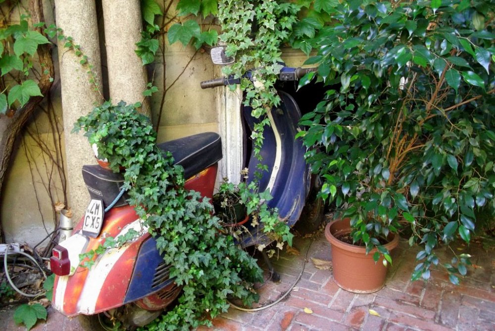 Осенние прогулки по Тичино 283.JPG