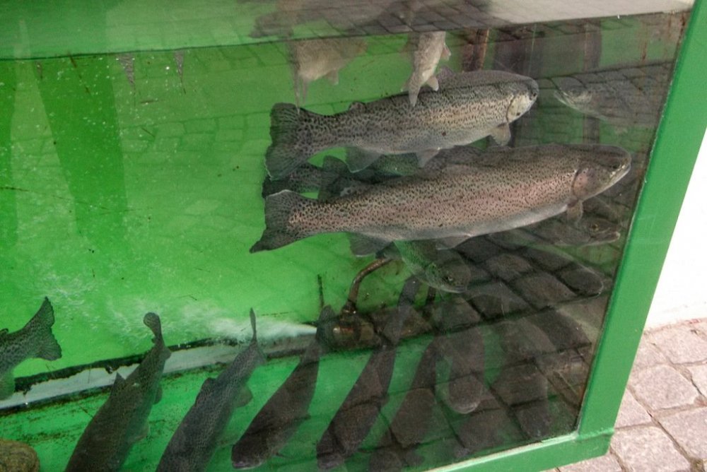 Осенние прогулки по Тичино 017.JPG