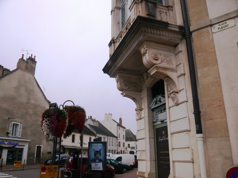 P1100781. Place Fleury..JPG