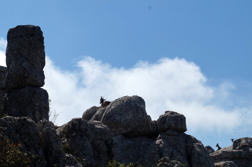 10_Парк Торкаль_009.JPG