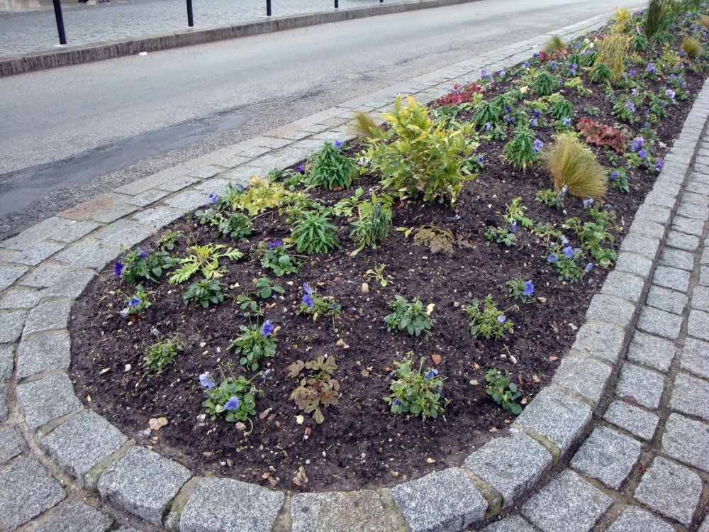 2000-набережная ноаой бухты.jpg