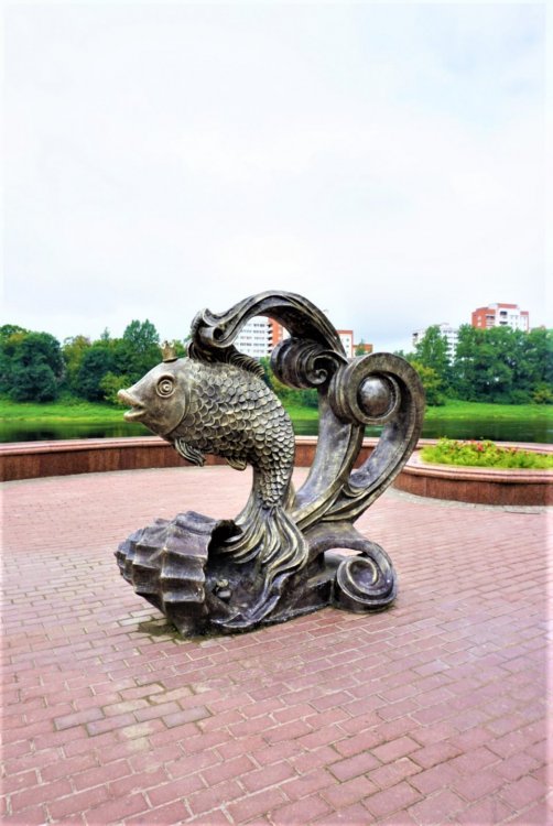 Витебск золотая рыбка.jpg