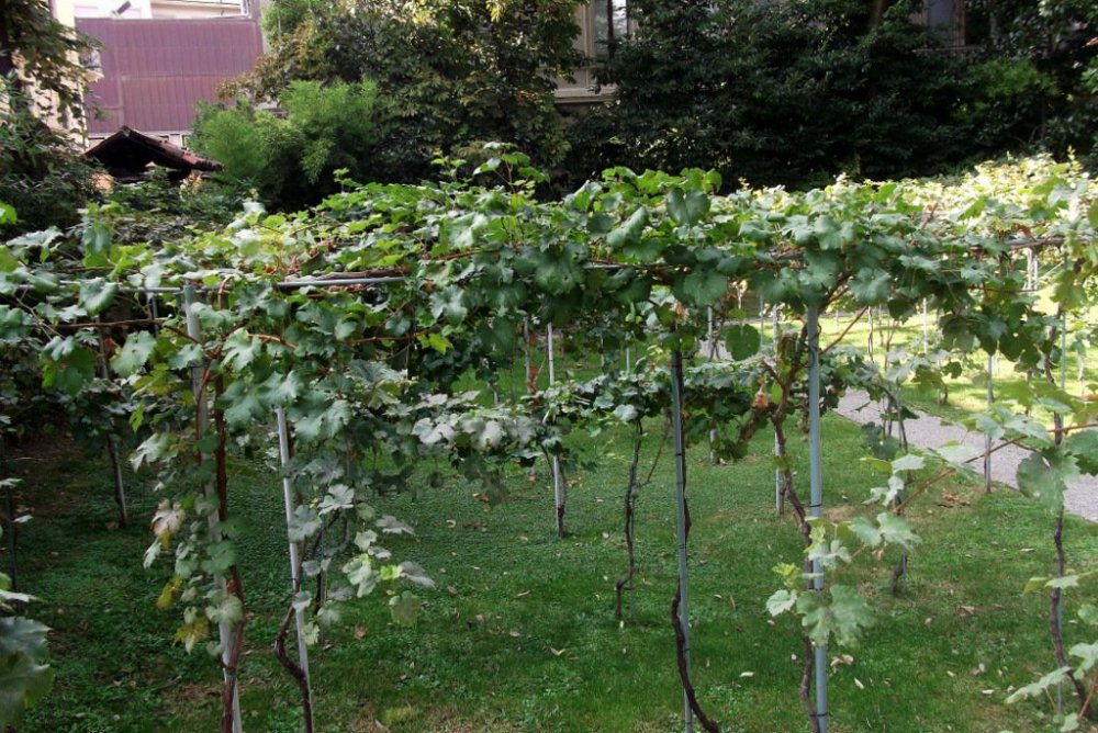 Осенние прогулки по Тичино 265.JPG