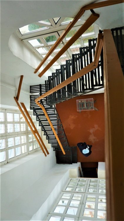 Витебск смотровая площадка  лестница 2.jpg