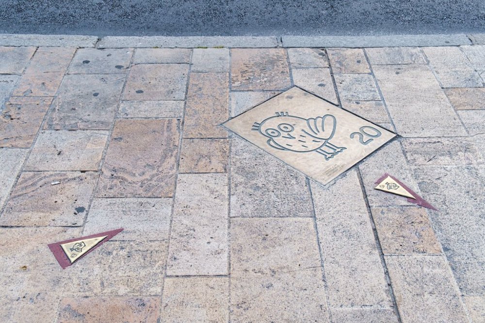 4184656_original. Таблички с совами обозначают маршрут осмотра..jpg