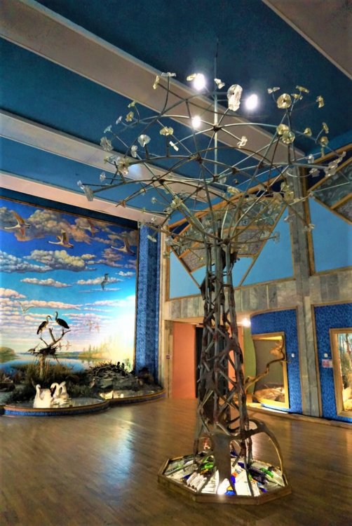 Витебск к.музей дерево 2.jpg