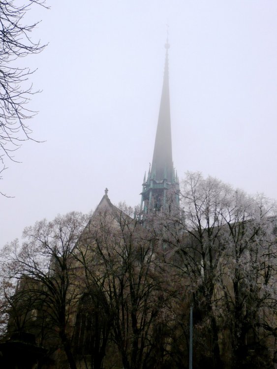 P1100648.башни собора св. Венигна..JPG