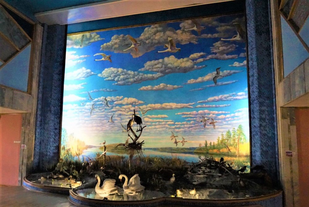 Витебск к. музей озеро.jpg