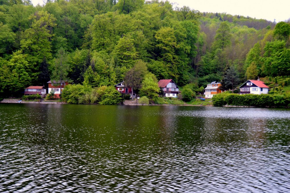 DSC_0584.JPG
