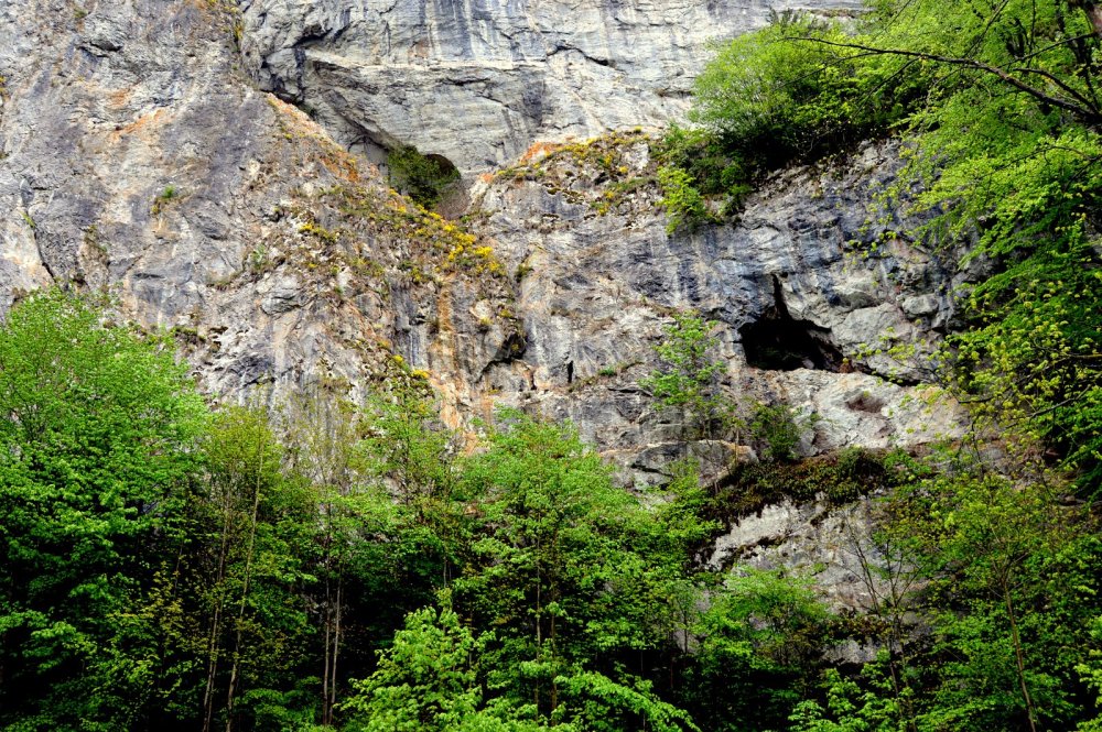 DSC_0815.JPG