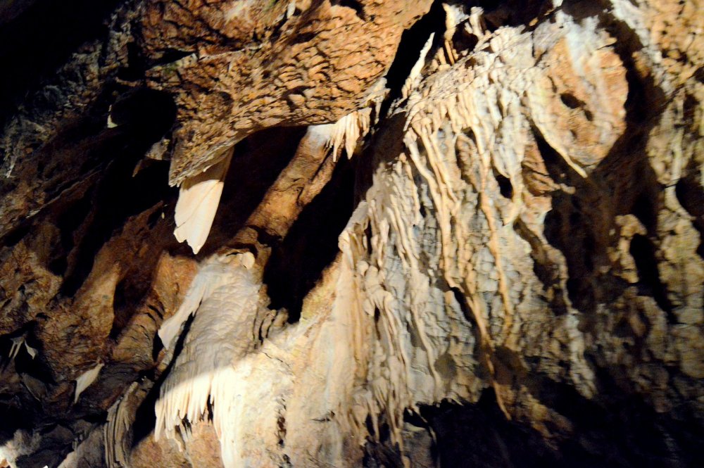 DSC_0906.JPG