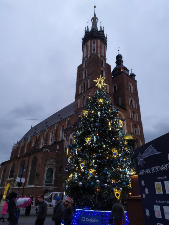 IMG_20191229_154551.jpg