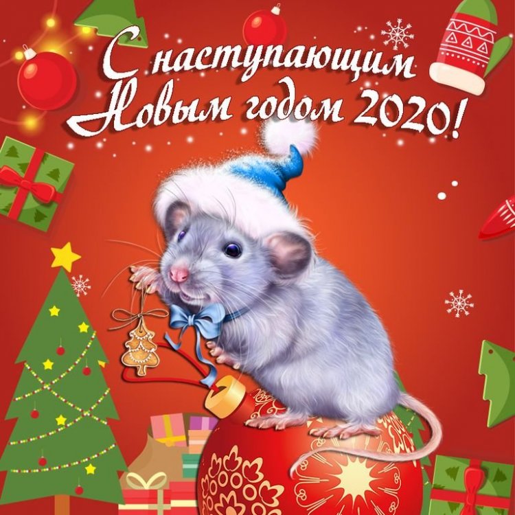 kartinki-s-novym-godom-2020-25.jpg