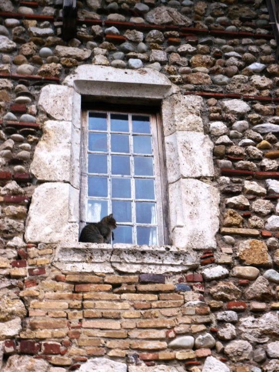 2019-12-16 09-42-05 (2).JPG