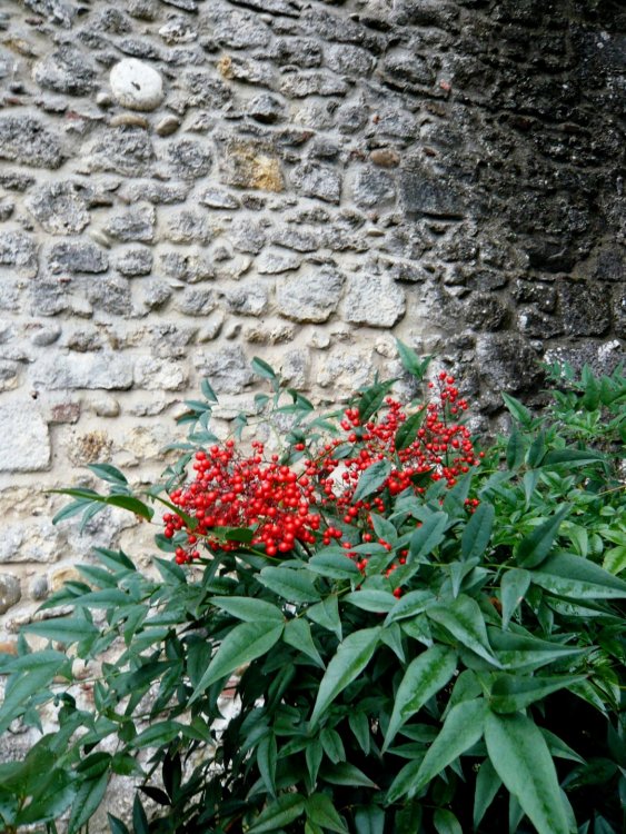 2019-12-16 09-42-40.JPG