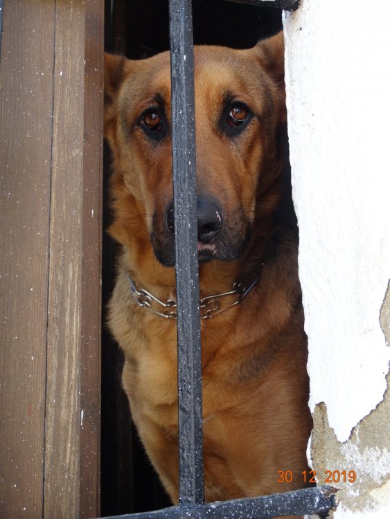 DSC05236 — копия.JPG