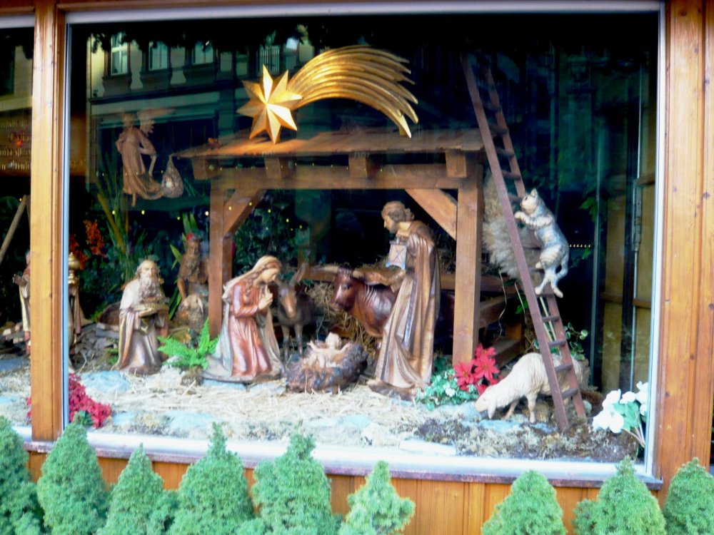 2019-12-16 10-08-55.JPG