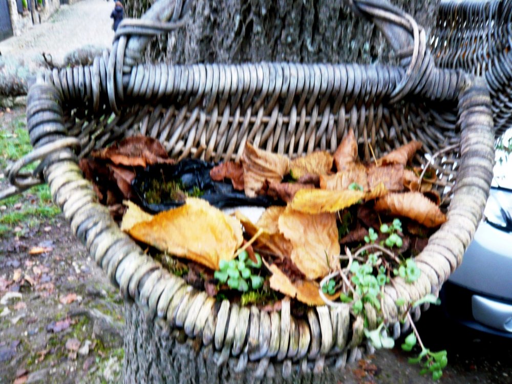 2019-12-16 09-41-59.JPG