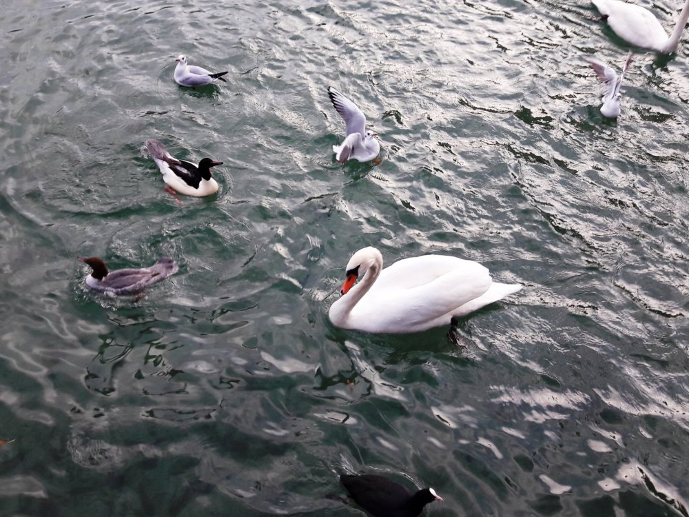 2020-01-08 11-52-06 (2).JPG