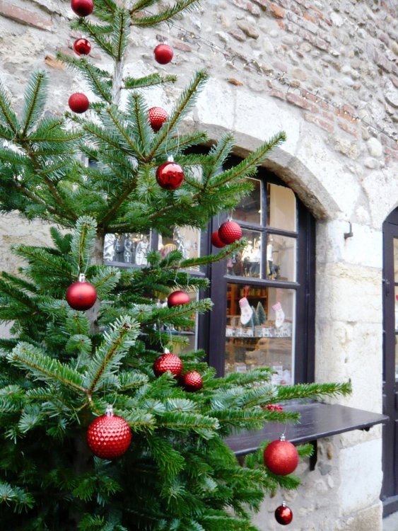 2019-12-16 09-42-24.JPG