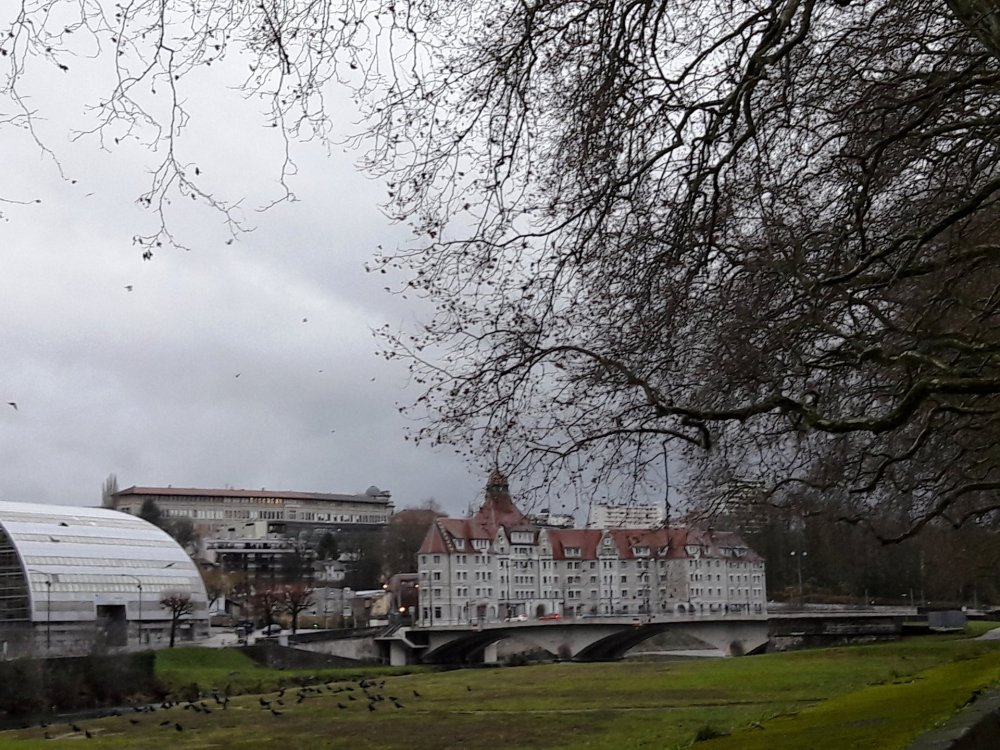 2020-01-08 12-01-16.JPG