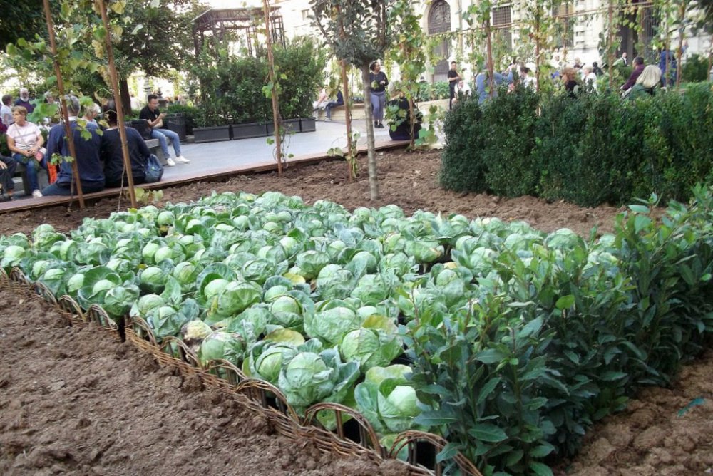 Осенние прогулки по Тичино 401.JPG