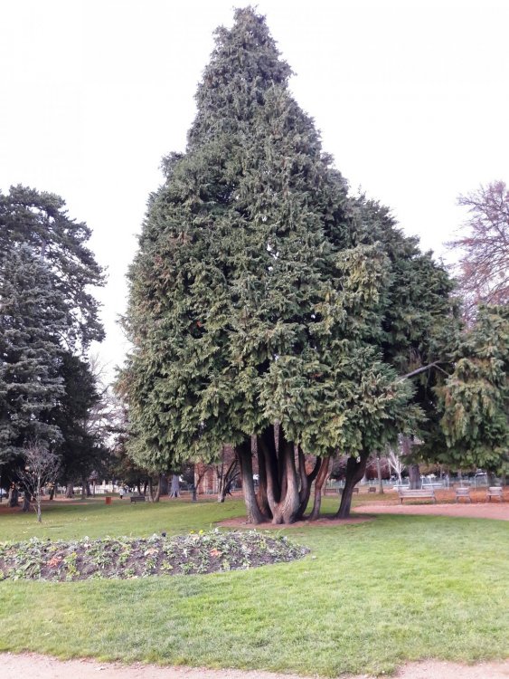 2020-01-08 11-52-01 (2).JPG