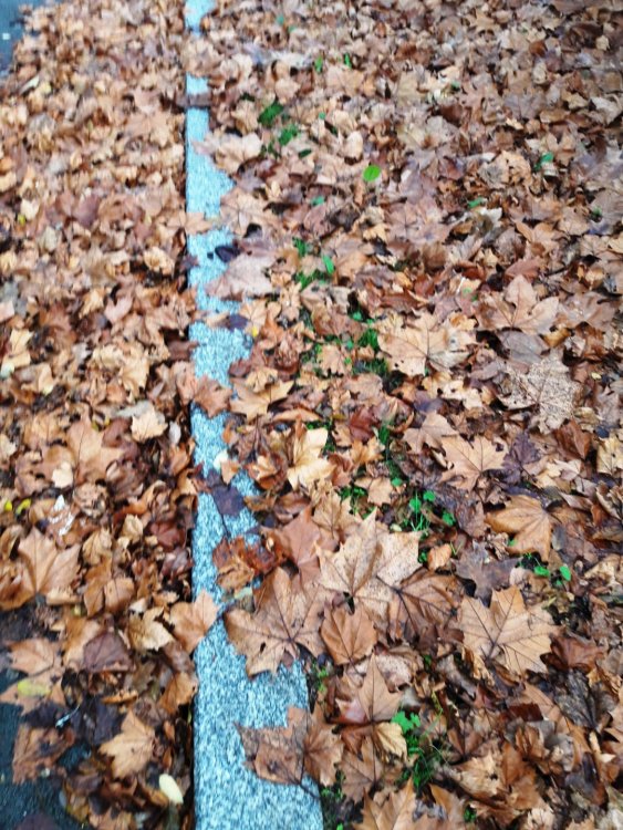 2020-01-08 12-00-36.JPG