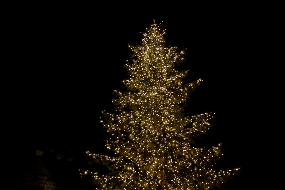 Нюрнберг (13).JPG