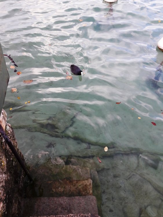 2020-01-08 11-51-56.JPG