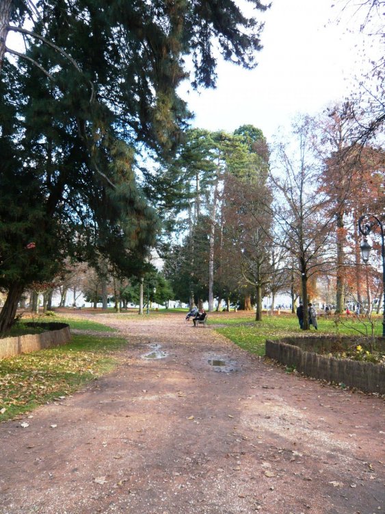 2019-12-15 15-24-07.JPG