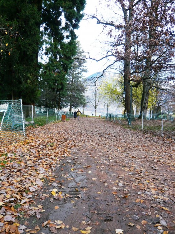 2019-12-15 15-24-09.JPG