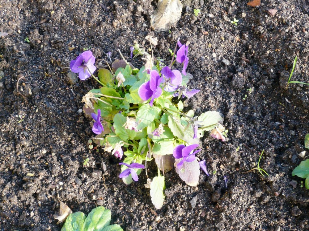 2019-12-16 10-10-14.JPG