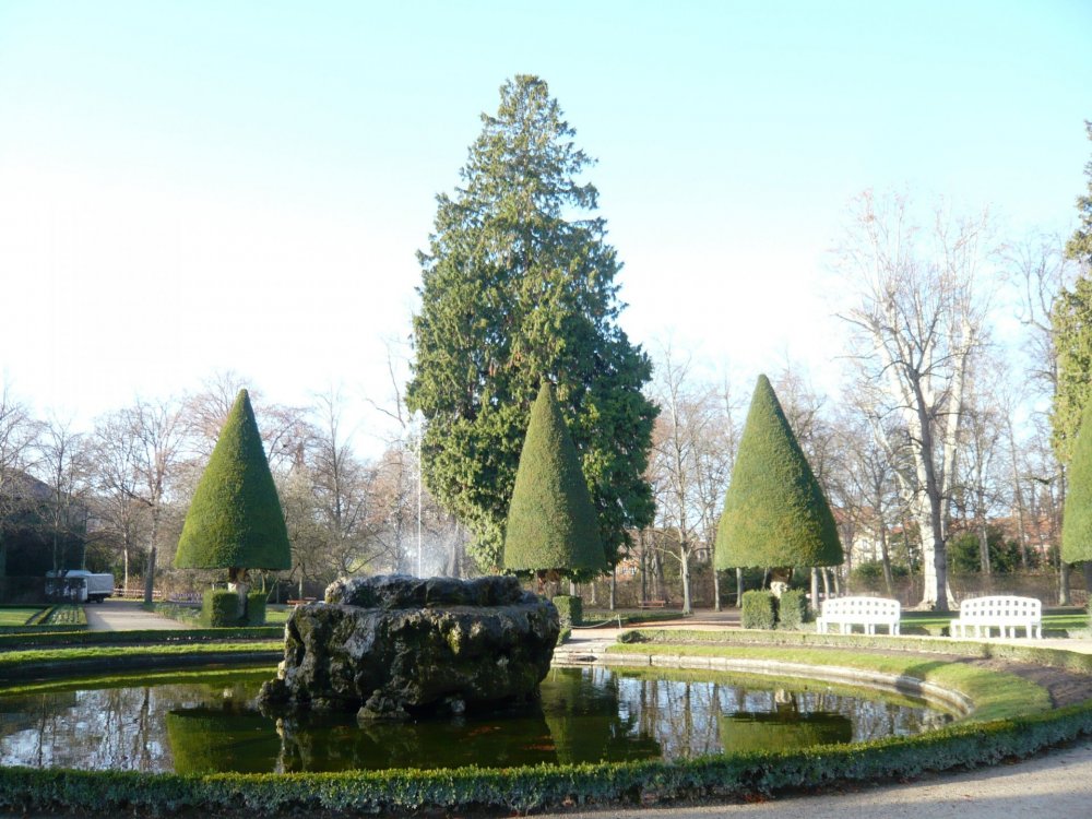 2019-12-16 10-10-02.JPG