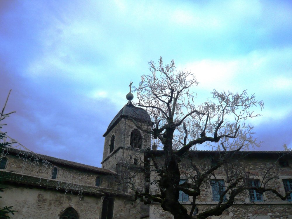 2019-12-16 09-41-28.JPG