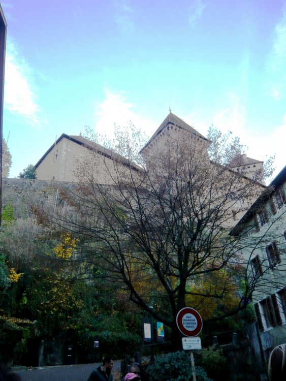 2019-12-15 15-23-32 (2).JPG