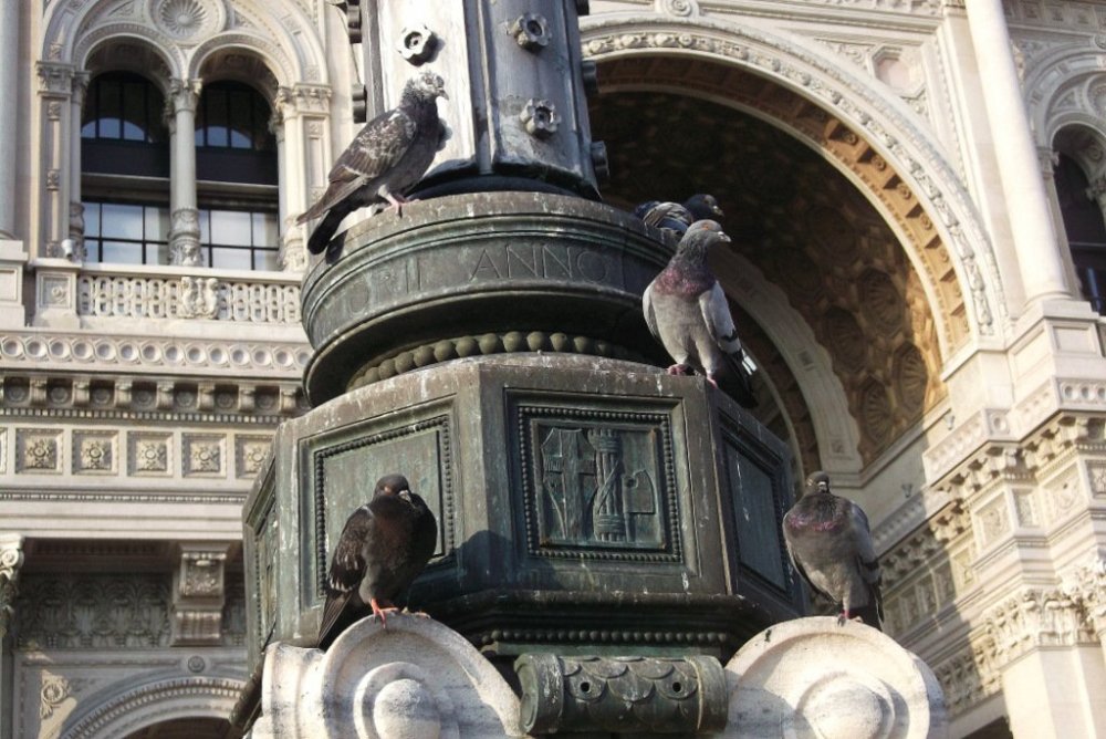 Осенние прогулки по Тичино 369.JPG