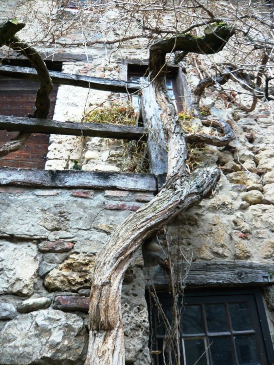 2019-12-16 09-41-54 (2).JPG