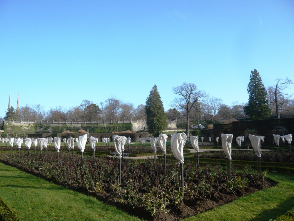 2019-12-16 10-10-11.JPG