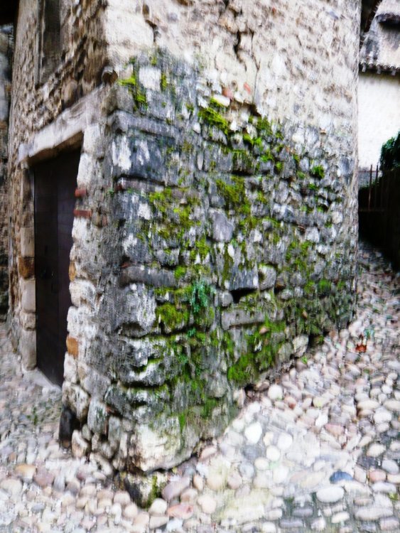 2019-12-16 09-42-36.JPG