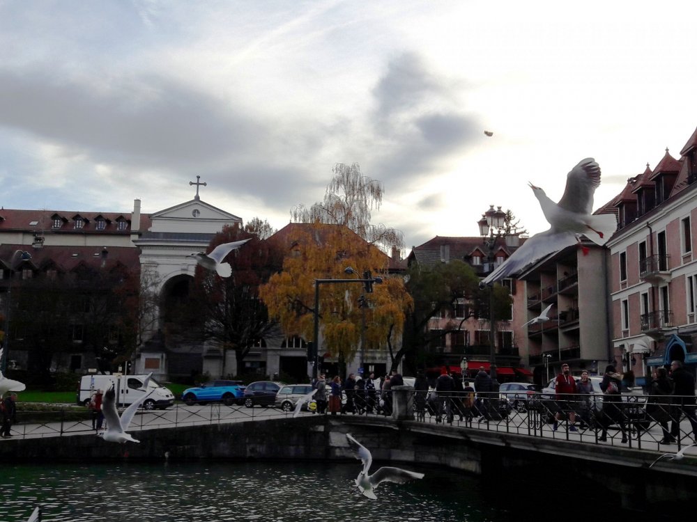 2020-01-08 11-52-06.JPG