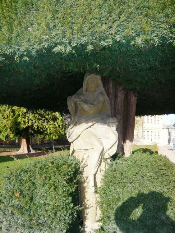 2019-12-16 10-09-56.JPG