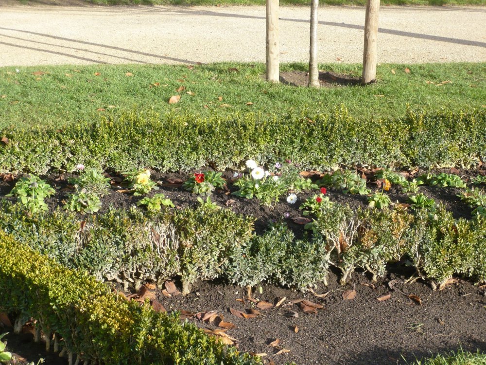 2019-12-16 10-09-54.JPG