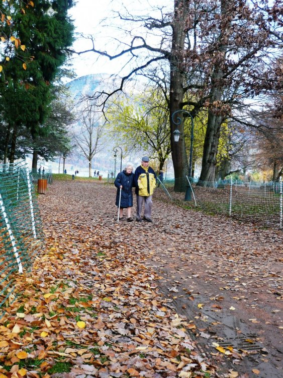 2019-12-15 15-31-18.JPG