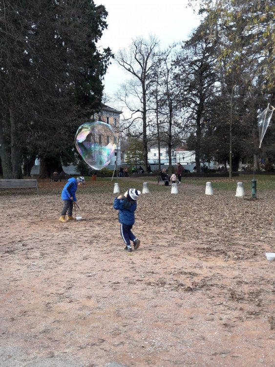 2020-01-08 11-52-04 (2).JPG